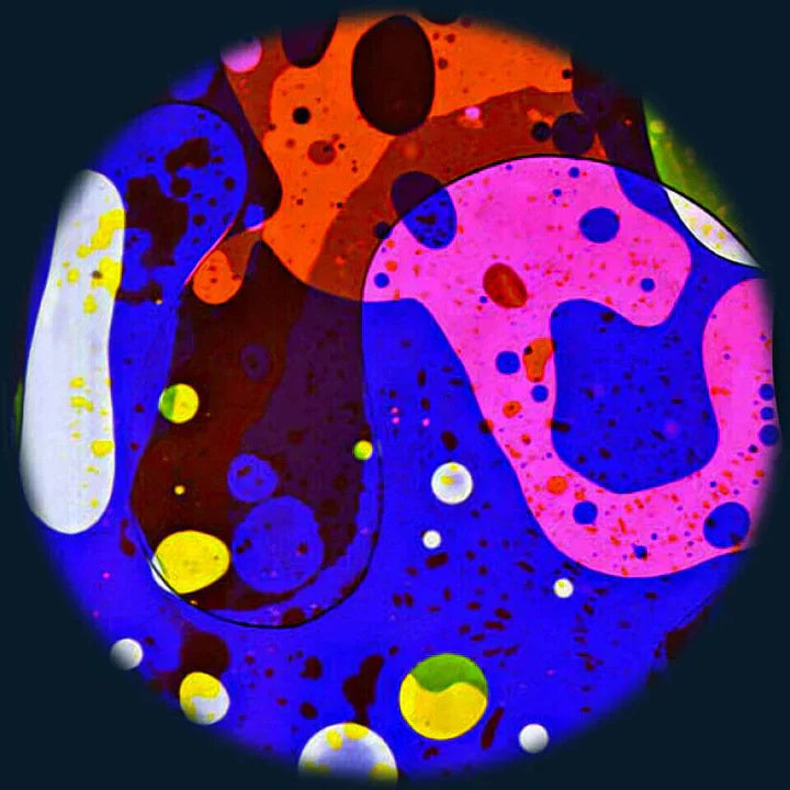 Dark Den: One Space, Infinite Sensory Solutions