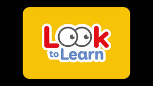 Look to Learn Software - Bridges Canada