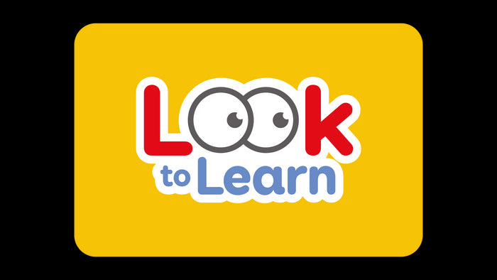 Look to Learn Software