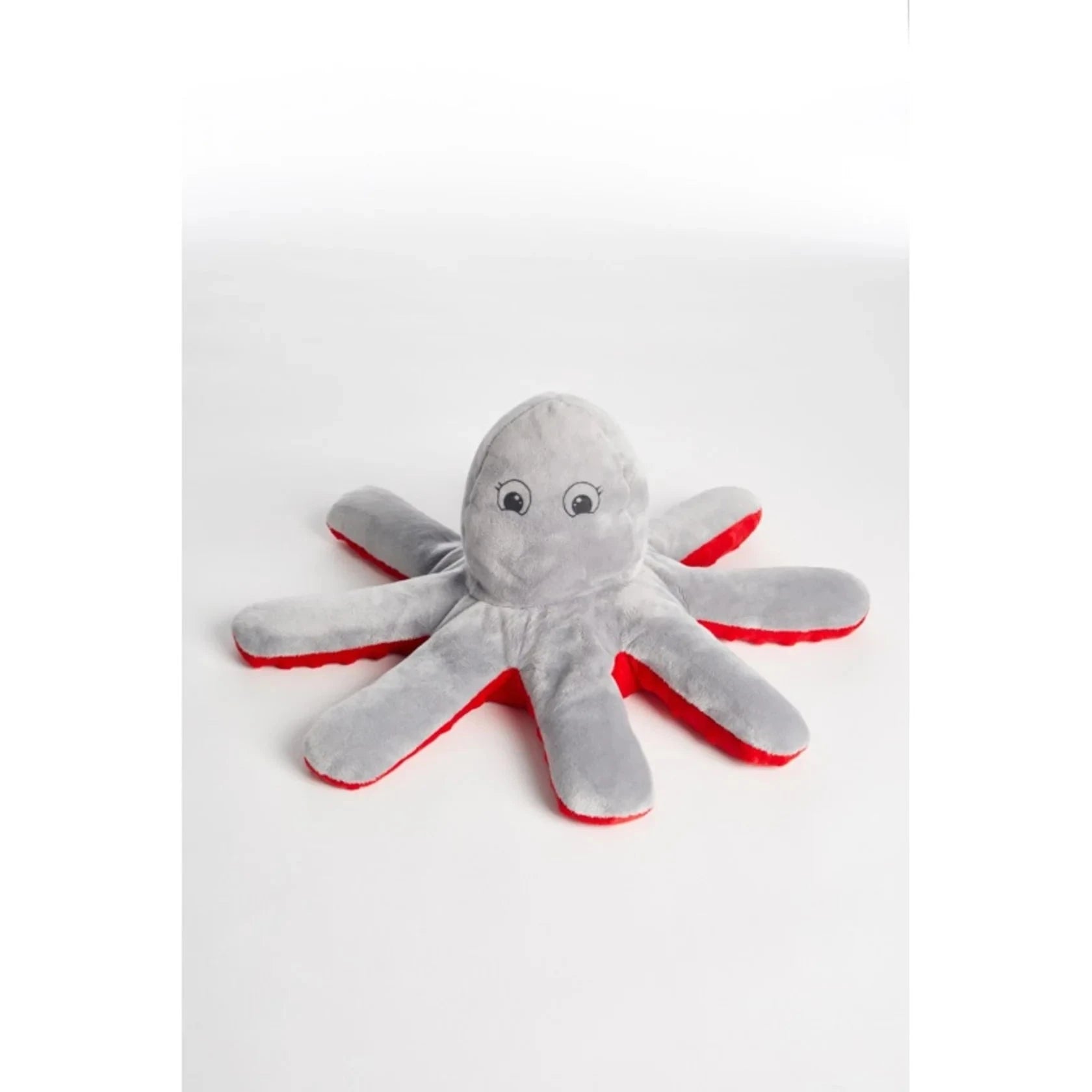 Amilourd - Romeo The Octopus - Bridges Canada