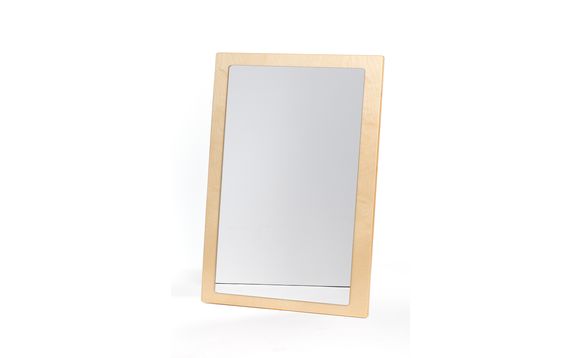 (AS IS) Large Mirror - Bridges Canada