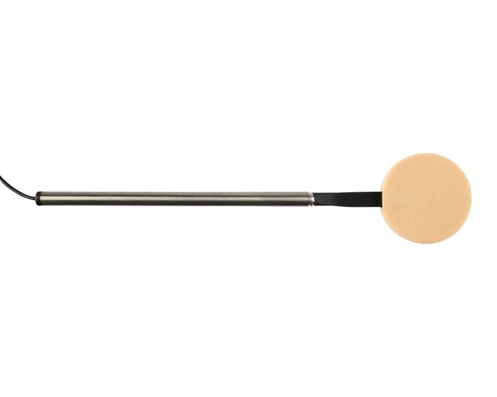 Leaf Switch - Bridges Canada