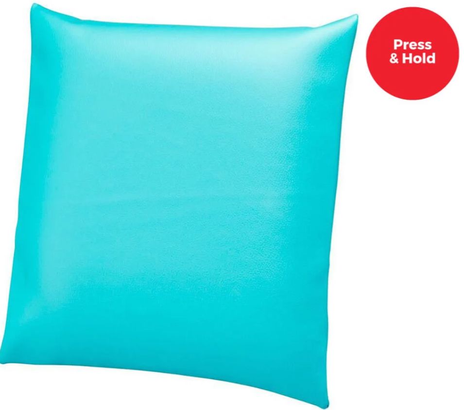 Switch Adapted - Vibrating Pillow - Bridges Canada