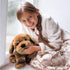 Theo The Therapy Dog - Bridges Canada