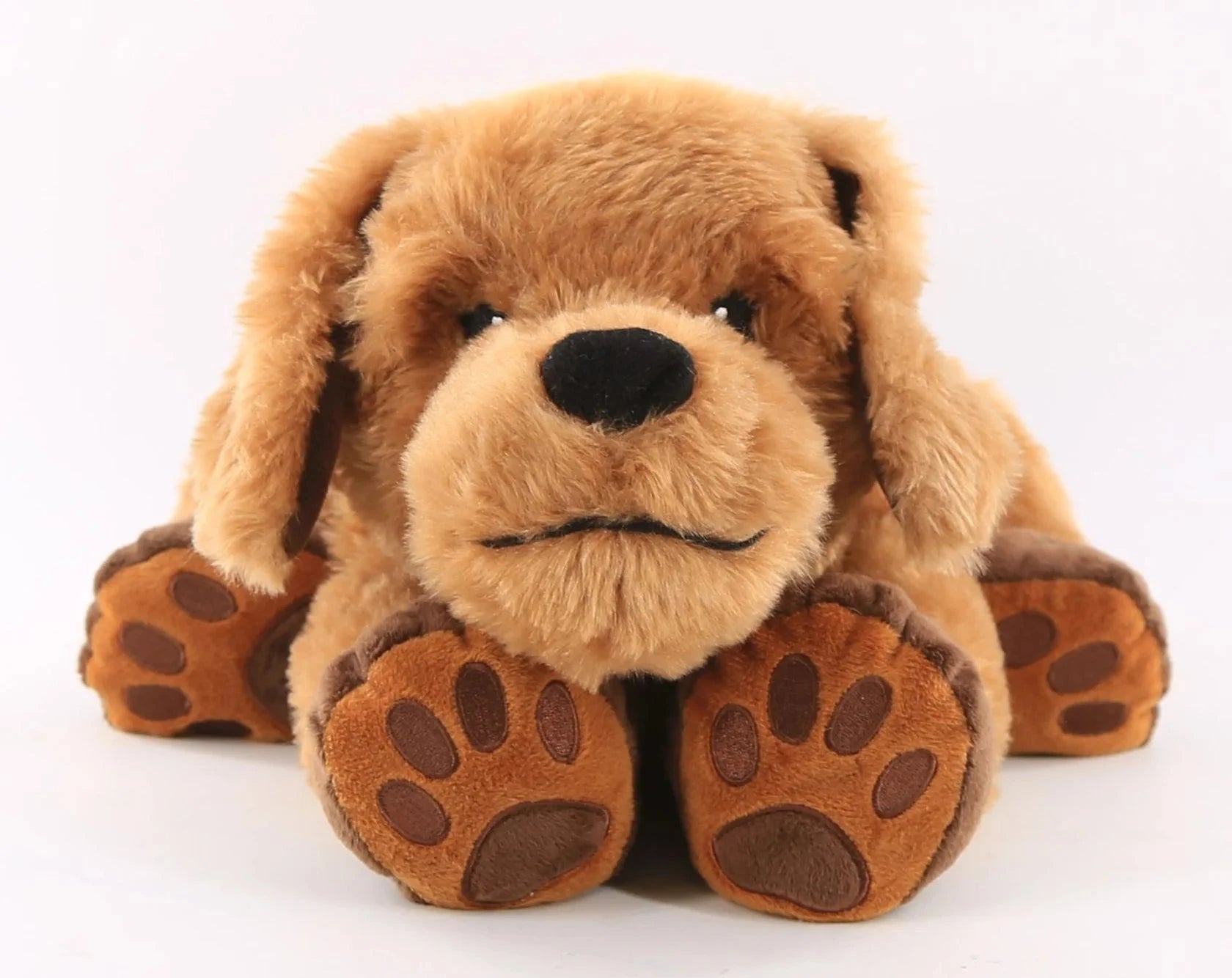 Theo The Therapy Dog - Bridges Canada