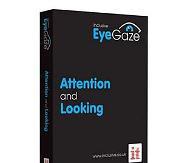Inclusive Eye Gaze Attention and Looking Software - Bridges Canada